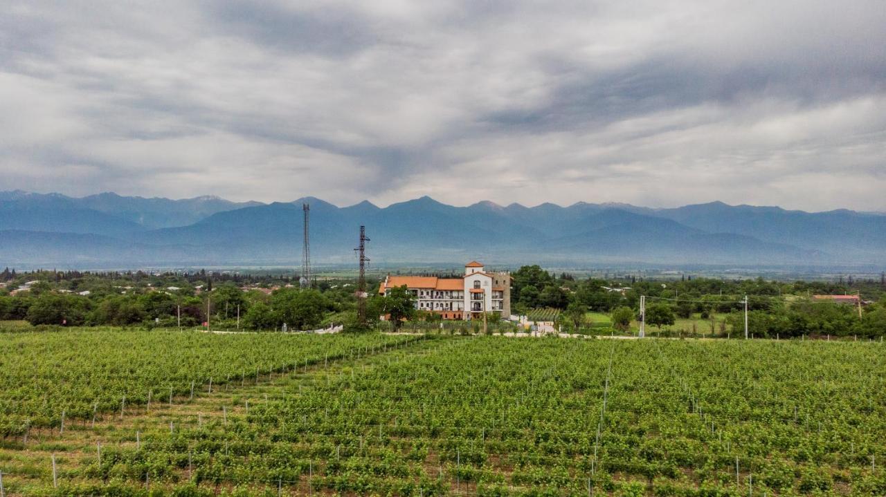 Tsinandali Resort & Spa Dış mekan fotoğraf