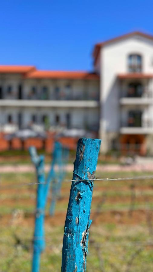 Tsinandali Resort & Spa Dış mekan fotoğraf